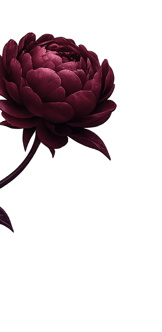 peony3 1